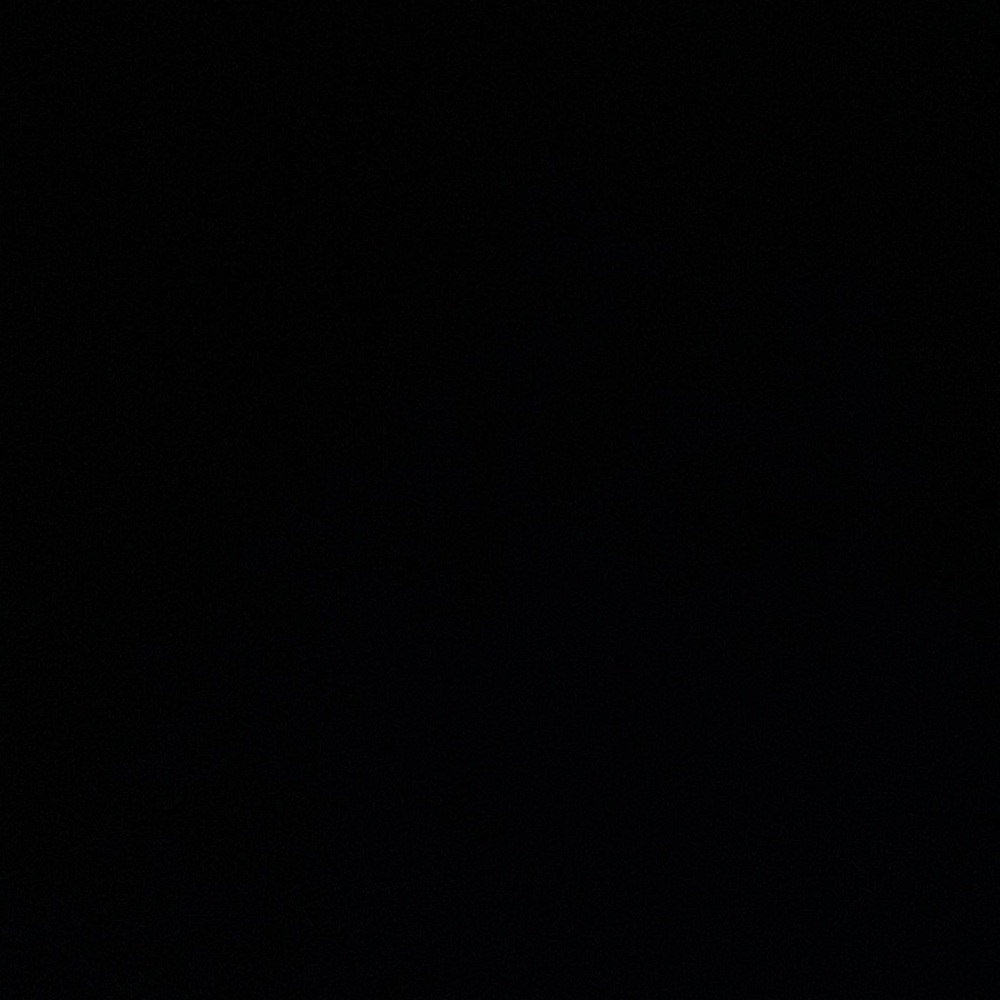 IGNORE